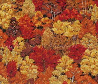 Herfst-021